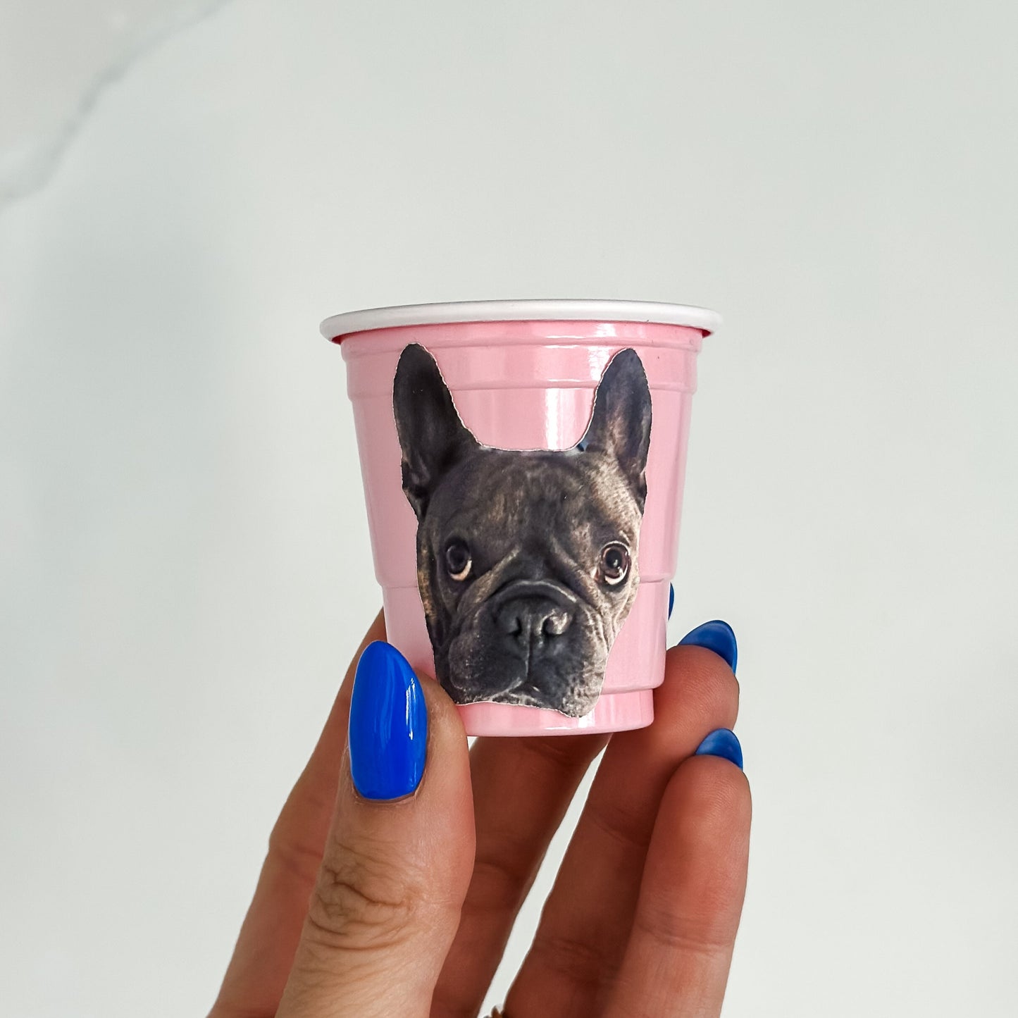 The Face Stickers