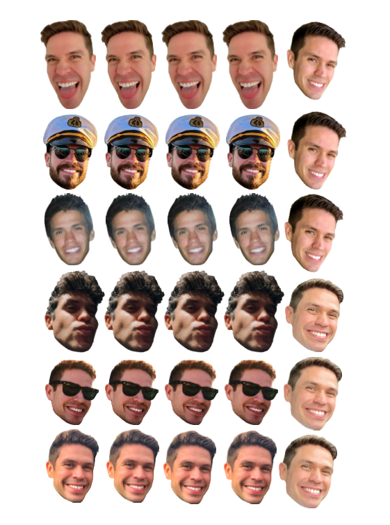The Face Stickers