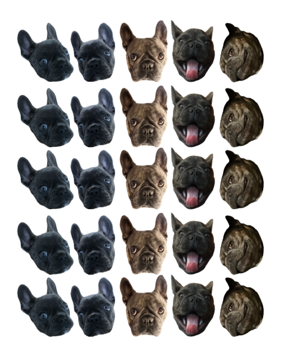 The Face Stickers